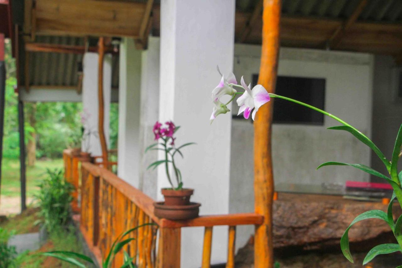 Victory Villa Sigiriya Bagian luar foto